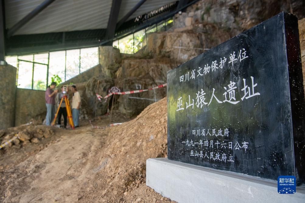 网络打牌网址